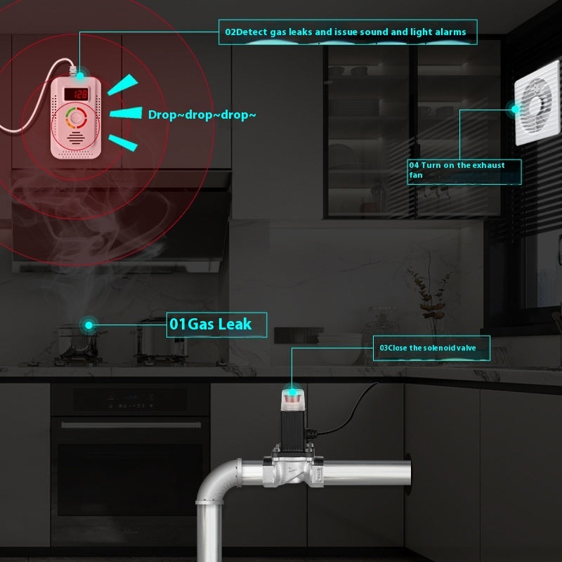 Carbon Monoxide Gas Two-in-one Alarm Household